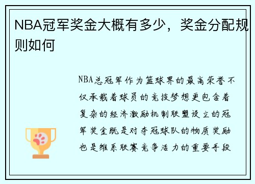NBA冠军奖金大概有多少，奖金分配规则如何